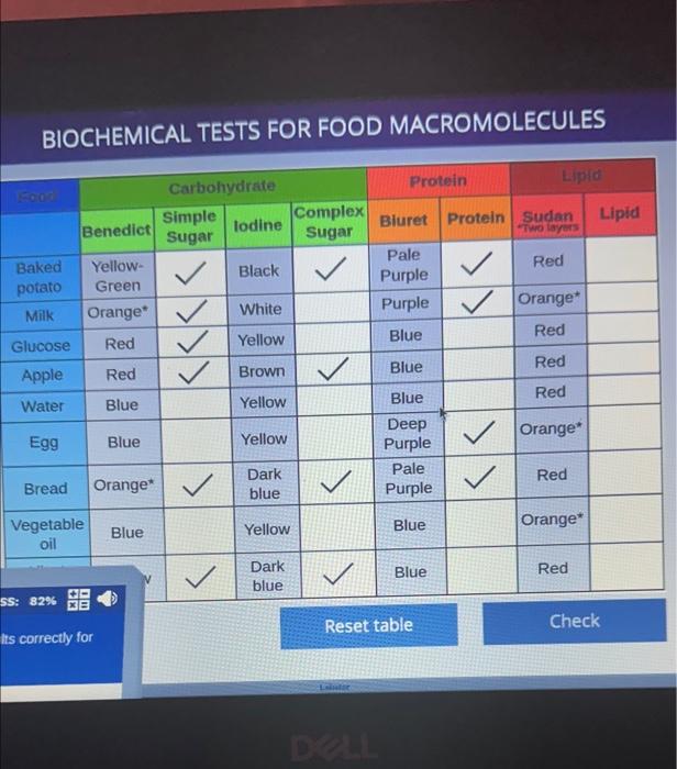 Solved BIOCHEMICAL TESTS FOR FOOD MACROMOLECULES | Chegg.com