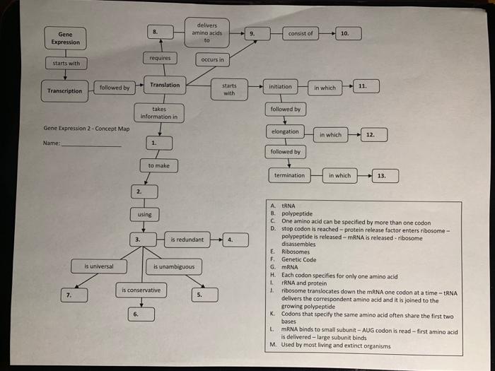 Solved Gene 8. delivers amino acids to 9. consist of 10. | Chegg.com