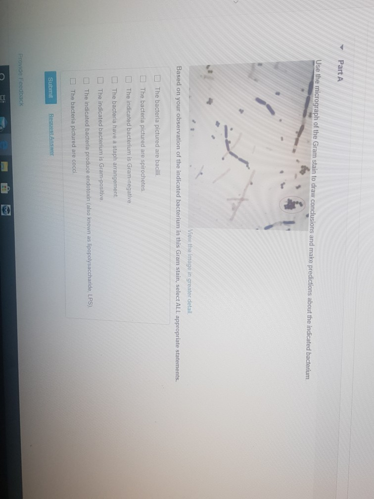 Solved Part A Use the micrograph of the Gram stain to draw | Chegg.com