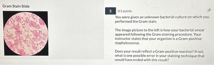 Gram Stain Slide 50.5 points You were given an | Chegg.com
