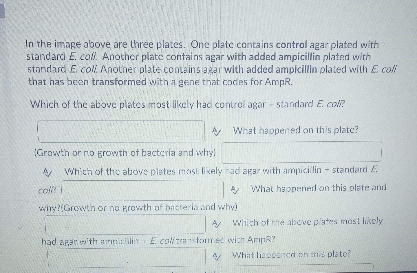 Solved Plate A Plate B Plate C In the image above are | Chegg.com