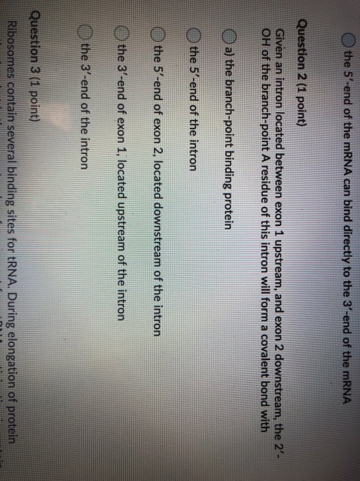 Solved Question 1 (1 point) In eukaryotic cells, a highly | Chegg.com