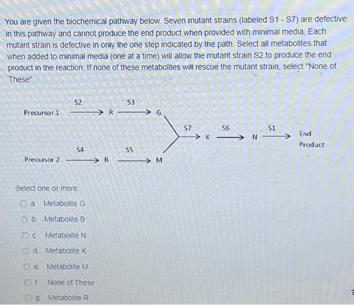 Solved You Are Given The Biochemical Pathway Below. Seven | Chegg.com