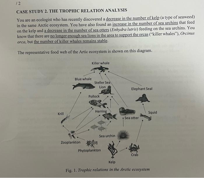 Solved CASE STUDY 2. THE TROPHIC RELATION ANALYSIS You are | Chegg.com