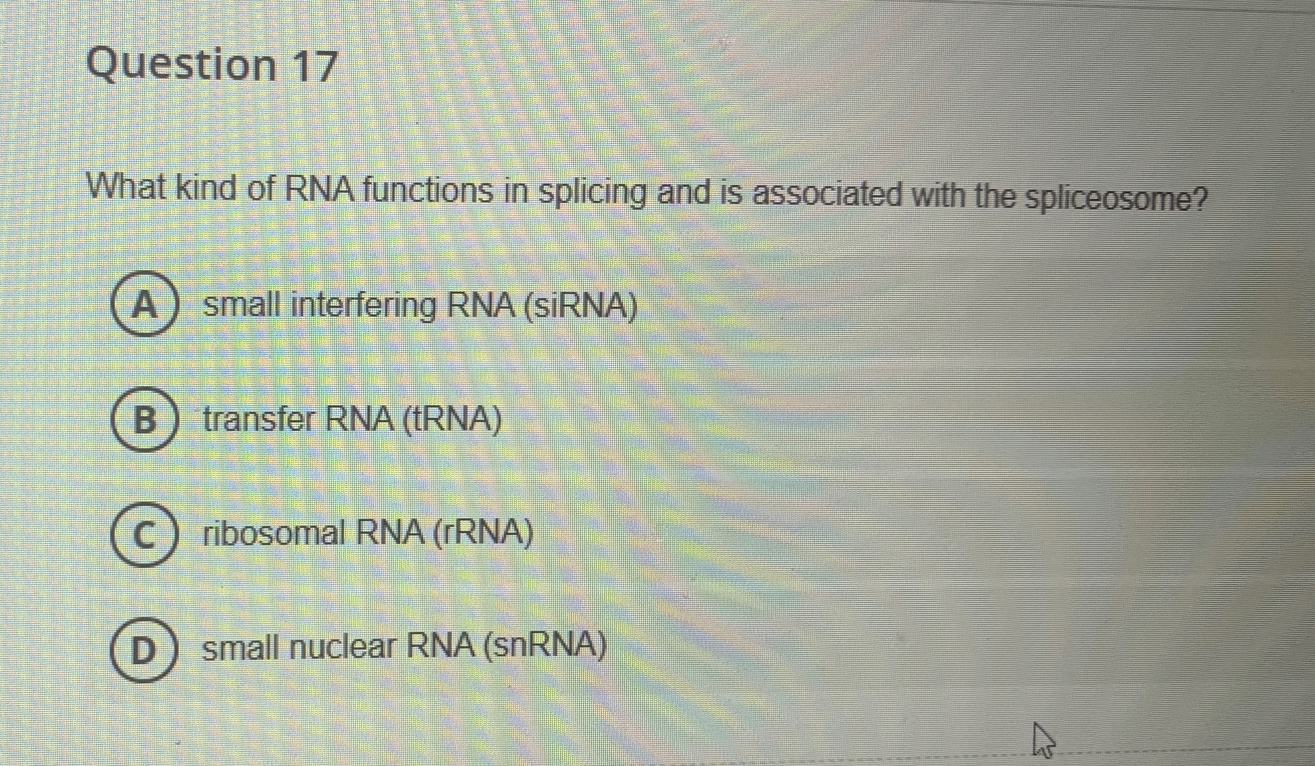 Solved Question 17What kind of RNA functions in splicing and | Chegg.com