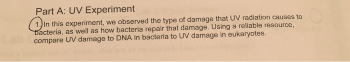 uv light bacteria experiment