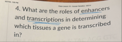 Solved 32705,1,00PM4. ﻿What are the roles of enhancers and | Chegg.com
