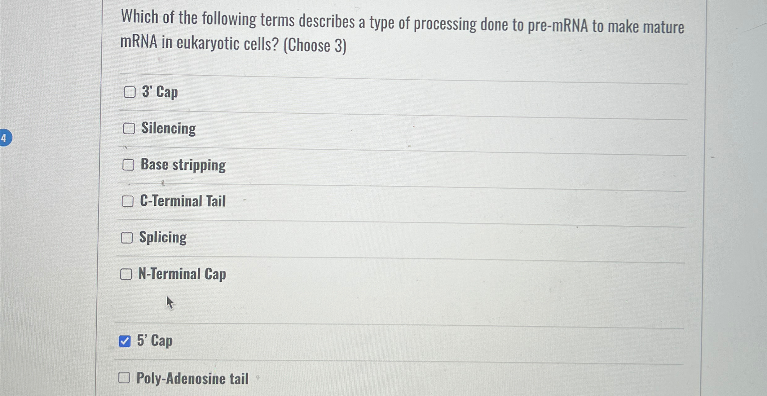 Solved Which of the following terms describes a type of | Chegg.com