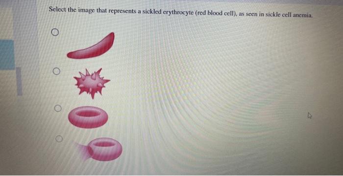 Solved please answer these three questions and i will rate | Chegg.com