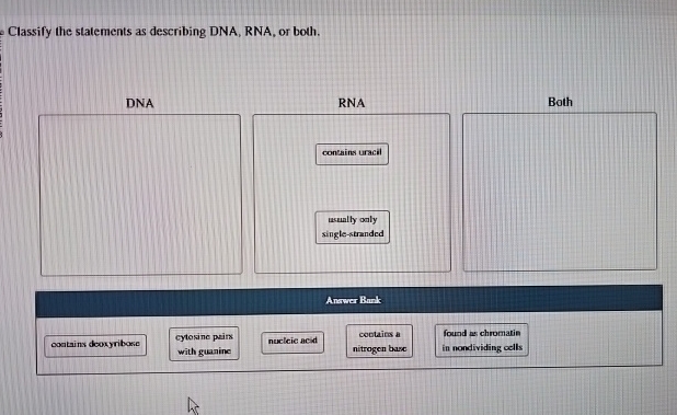 Solved Classify the statements as describing DNA, RNA, or | Chegg.com