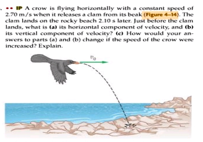 Solved IP A crow is flying horizontally with a constant | Chegg.com