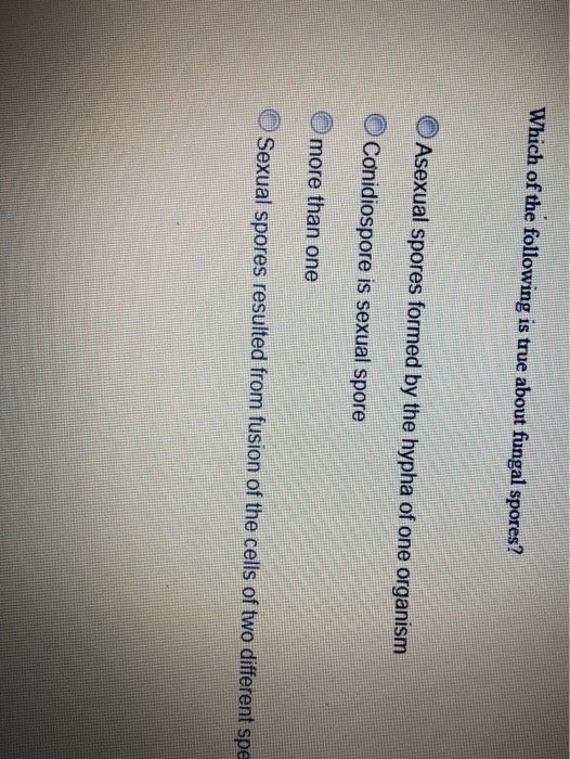 Solved Which of the following is true about fungal spores? | Chegg.com