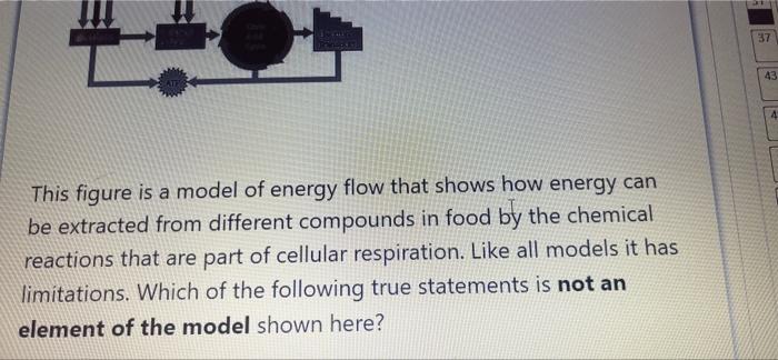 37 43 4 4 a This figure is a model of energy flow | Chegg.com