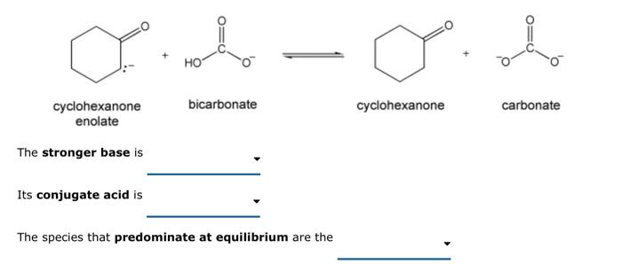 cyclohexanone
bicarbonate
cyclohexanone
carbonate
enolate
The stronger base is
Its conjugate acid is
The species that predomi