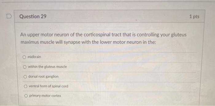 Solved Question 29 1 pts An upper motor neuron of the | Chegg.com