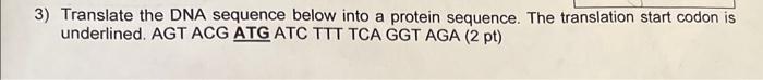 Solved 3) Translate the DNA sequence below into a protein | Chegg.com