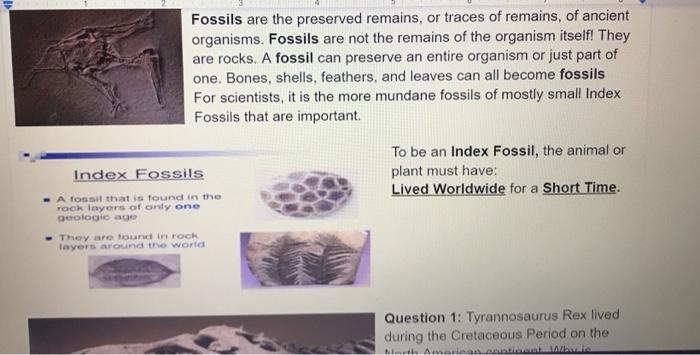 Solved Lesson C: Index Fossils Humans have been finding 