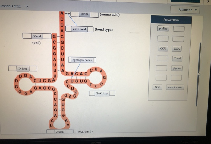 Westion 3 Of 12 Attempt 2 Serine Amino Acid A Chegg Com