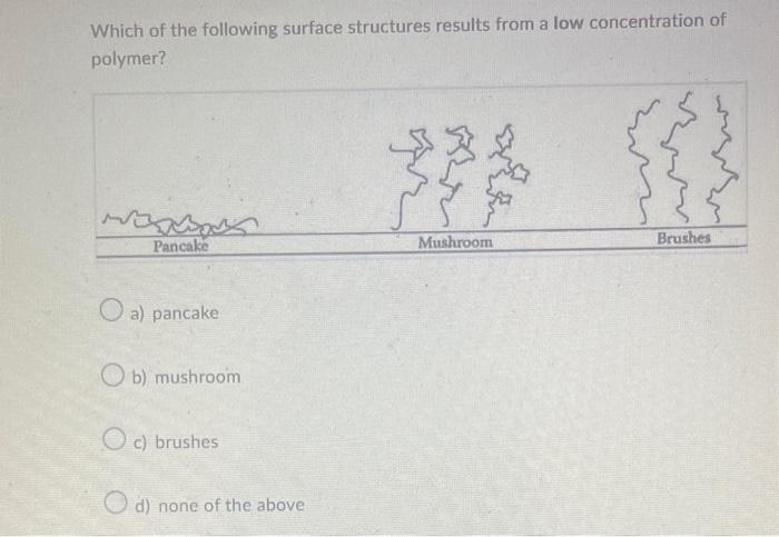 Solved Which scanning probe microscopy technique would be | Chegg.com