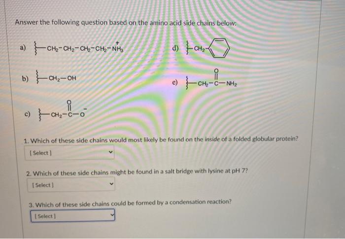 Solved Answer the following question based on the amino acid | Chegg.com
