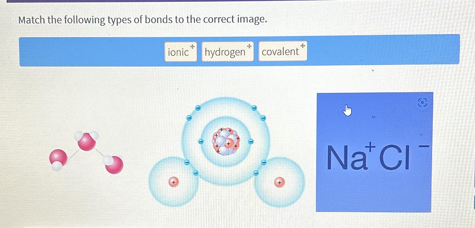 Solved Match the following types of bonds to the correct