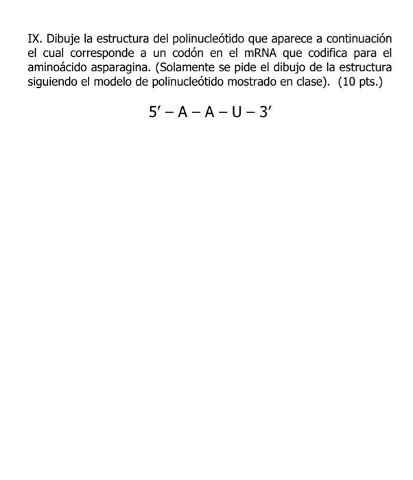 IX. Dibuje la estructura del polinucleótido que aparece a continuación el cual corresponde a un codón en el mRNA que codifica