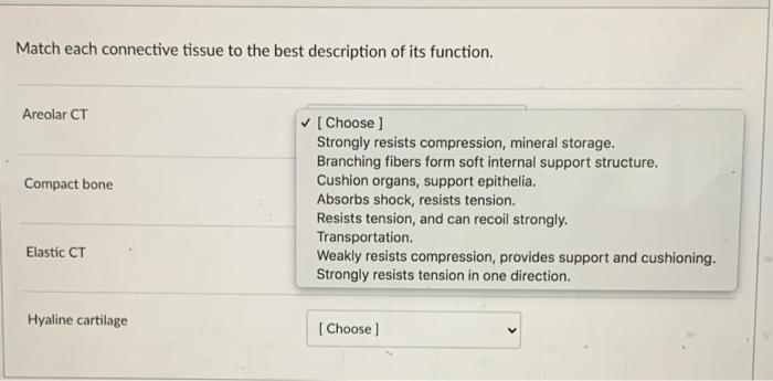Solved Match each connective tissue to the best description | Chegg.com
