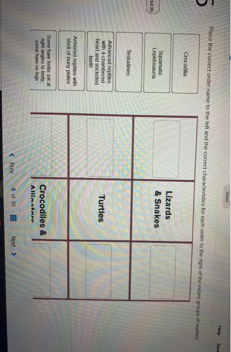 Solved Saved Help Save Place the correct order name to the | Chegg.com