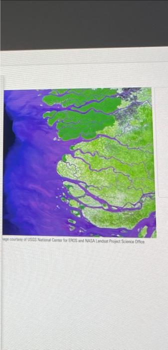 Solved 7 | Chegg.com