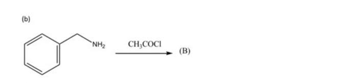 Solved (b) (B) | Chegg.com