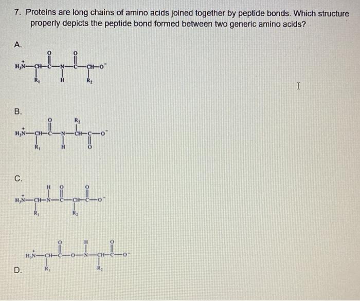 Solved 7. Proteins are long chains of amino acids joined