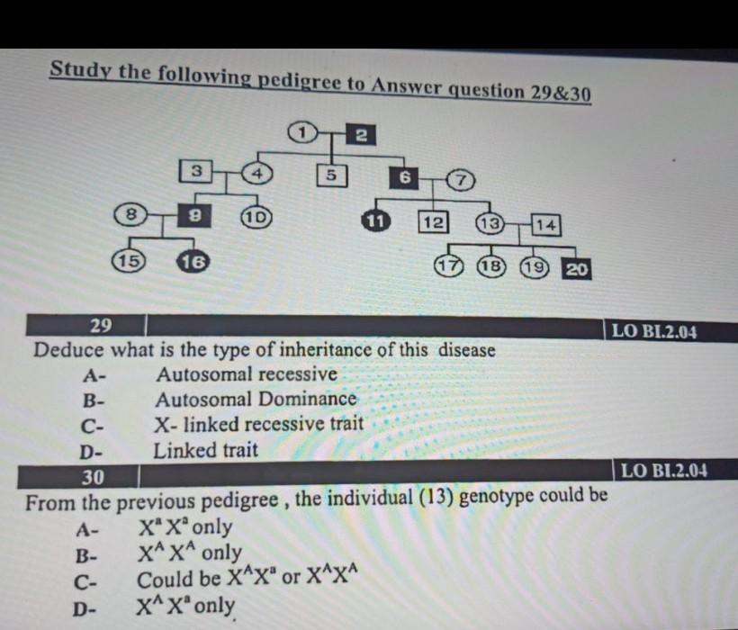 Solved Study the following pedigree to Answer question | Chegg.com