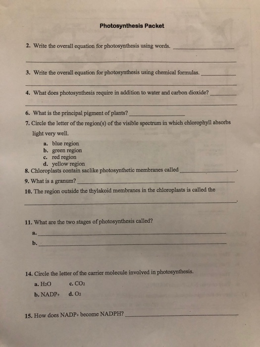 Solved Photosynthesis Packet 2 Write The Overall Equation Chegg