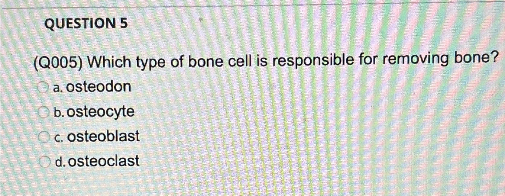 Solved QUESTION 5(Q005) ﻿Which type of bone cell is | Chegg.com