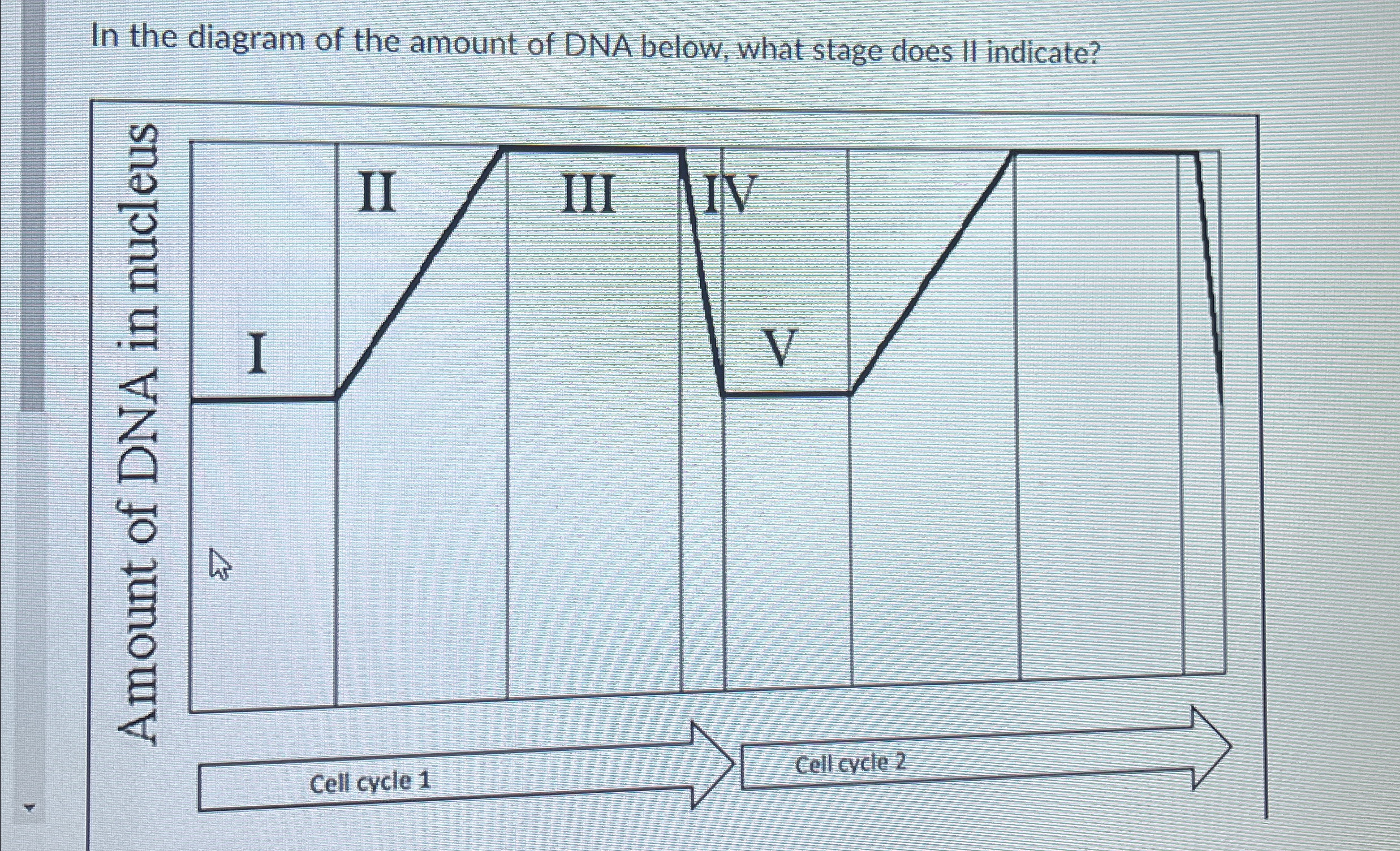 Solved In the diagram of the amount of DNA below, what stage | Chegg.com