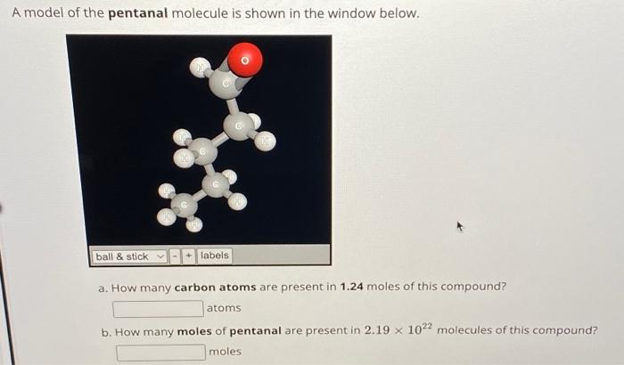 Solved A Model Of The Pentanal Molecule Is Shown In The | Chegg.com