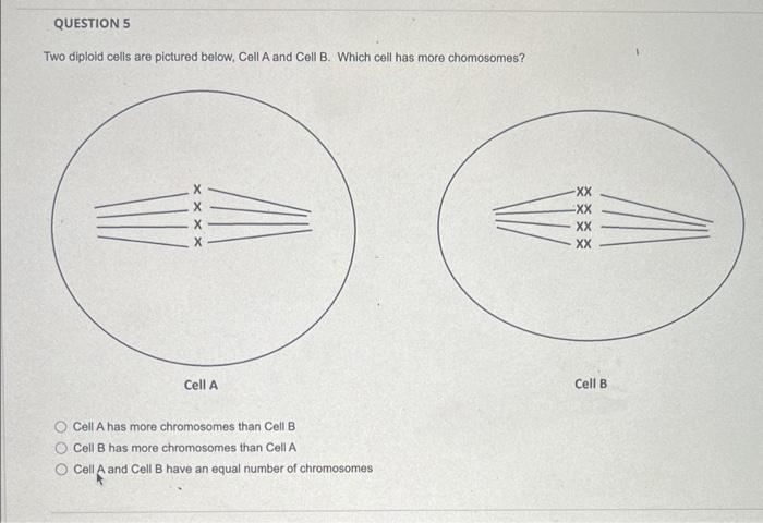 Solved Based On The Below Human Karyotype, Is This | Chegg.com