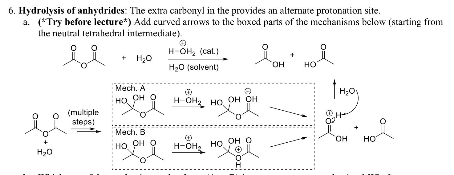 Solved Hydrolysis of anhydrides: The extra carbonyl in the | Chegg.com