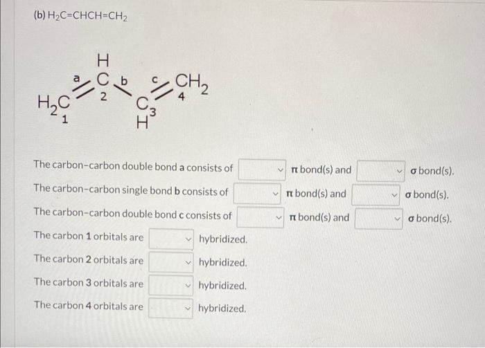 (b) \( \mathrm{H}_{2} \mathrm{C}=\mathrm{CHCH}=\mathrm{CH}_{2} \)
\( \begin{array}{lll}\text { The carbon-carbon double bond 