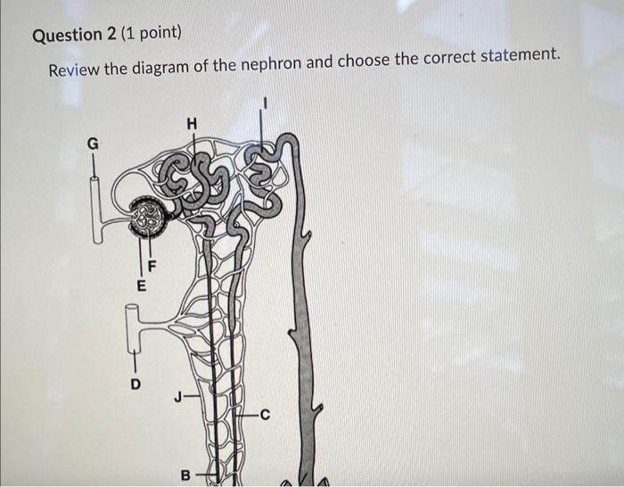 Solved Below is a key from a urine analysis dipstick test.If | Chegg.com