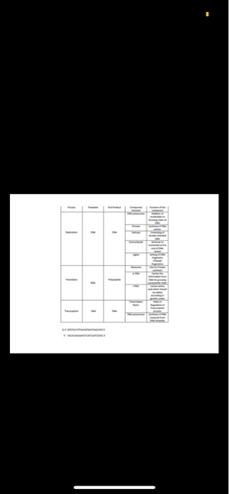 Solved assignment worksheet.v2 - Compatibility Mode - Word | Chegg.com