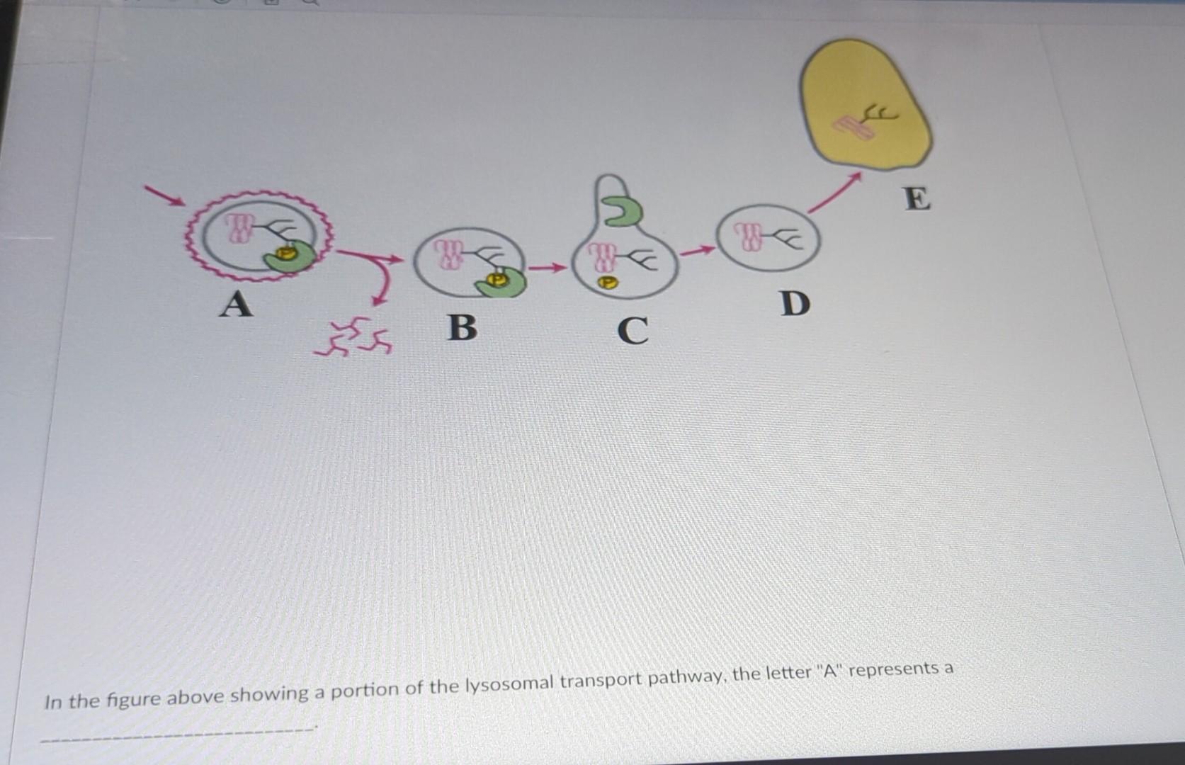 Cell Fail Solved What would happen if a cell failed to place | Chegg.com