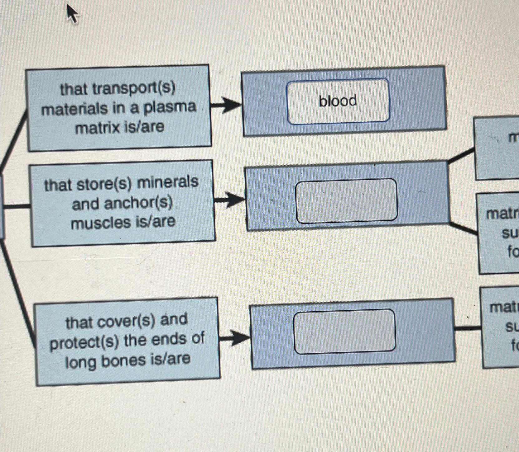 Solved that transport(s) ﻿materials in a plasma matrix | Chegg.com
