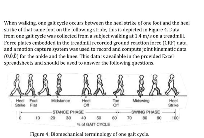 gait cycle foot