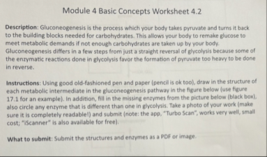Solved Module 4 ﻿Basic Concepts Worksheet 4.2Description: | Chegg.com