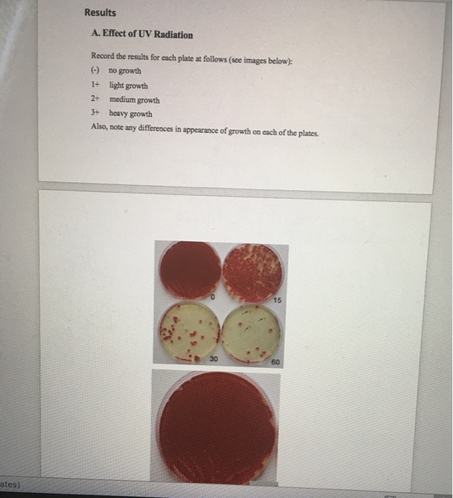 Solved Results A. Effect of UV Radiation Record the results | Chegg.com
