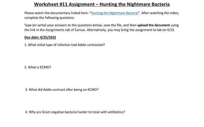 solved-worksheet-11-assignment-hunting-the-nightmare-chegg-com