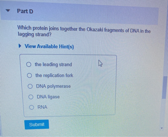 Solved Which statement best describes strand characteristics | Chegg.com
