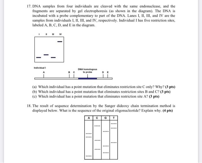 17. DNA samples from four individuals are cleaved | Chegg.com