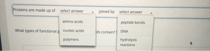 Solved Proteins are made up of select answer - joined by | Chegg.com